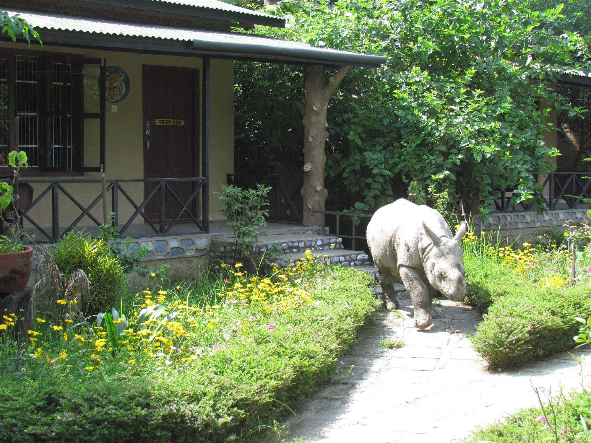 Chitwan Gaida Lodge Sauraha Exterior photo